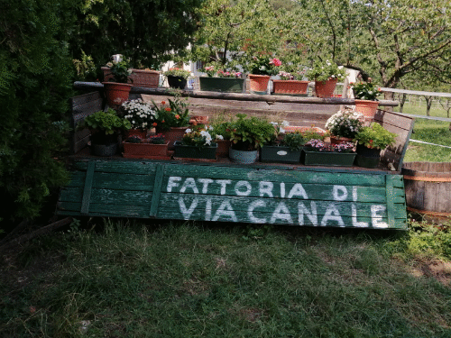 I fattori